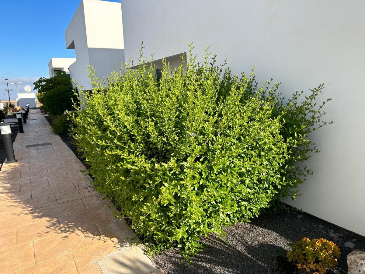 Casilla De Costa, La Oliva Διαμέρισμα Villaverde  Εξωτερικό φωτογραφία
